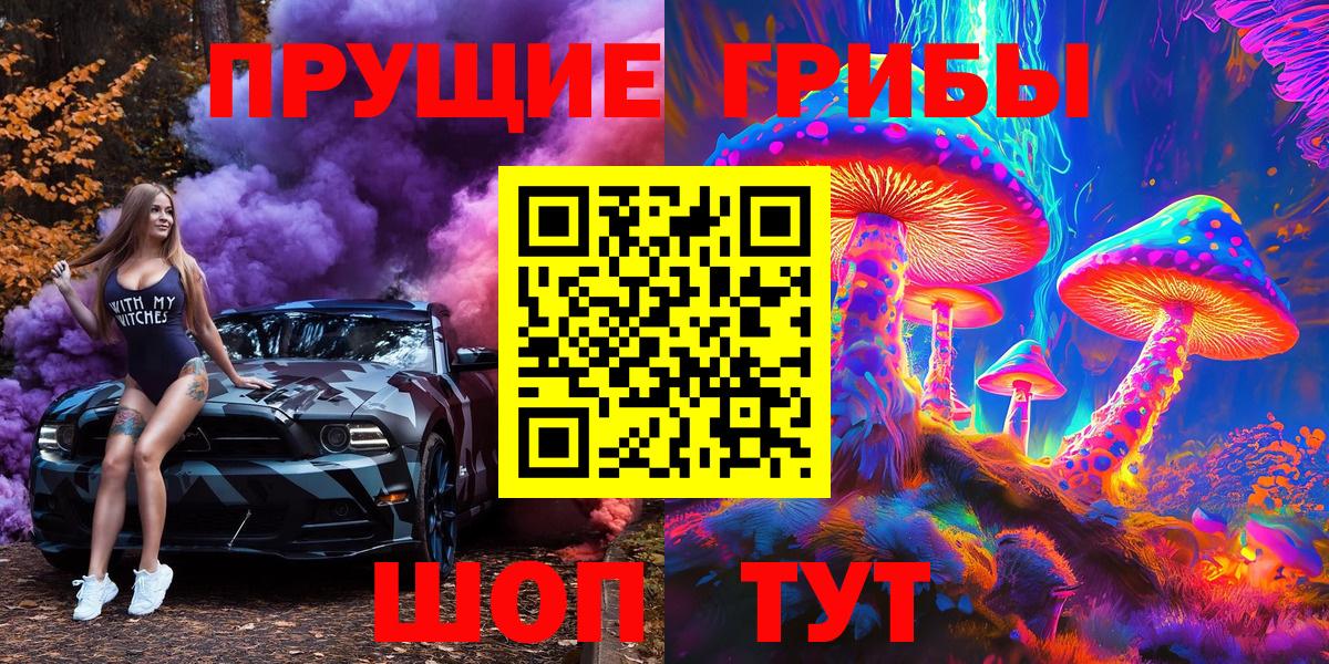 Галлюциногенные грибы Psilocybine cubensis  Вход с VPN  Псилоцибиновые грибы мицелий  Омск 